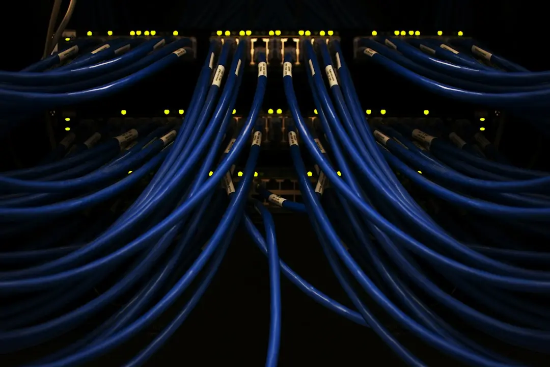 Bundles of blue network cables plugged into a switch in a dark rack, the kind of internet connection StrimoIPTV streams over